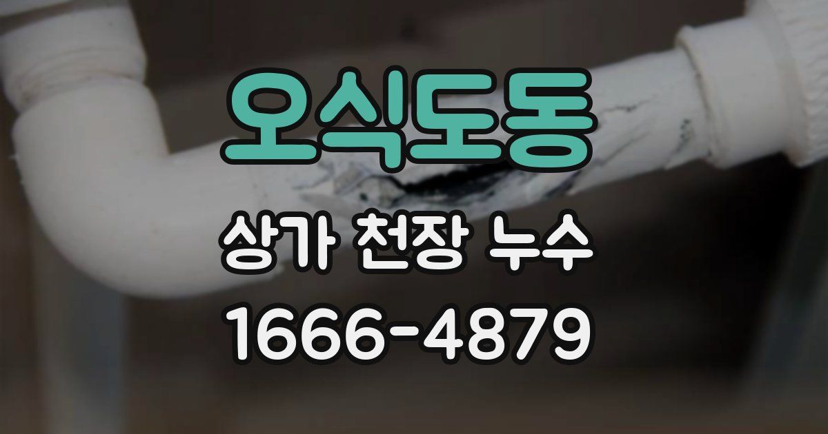 오식도동 상가 천장 누수