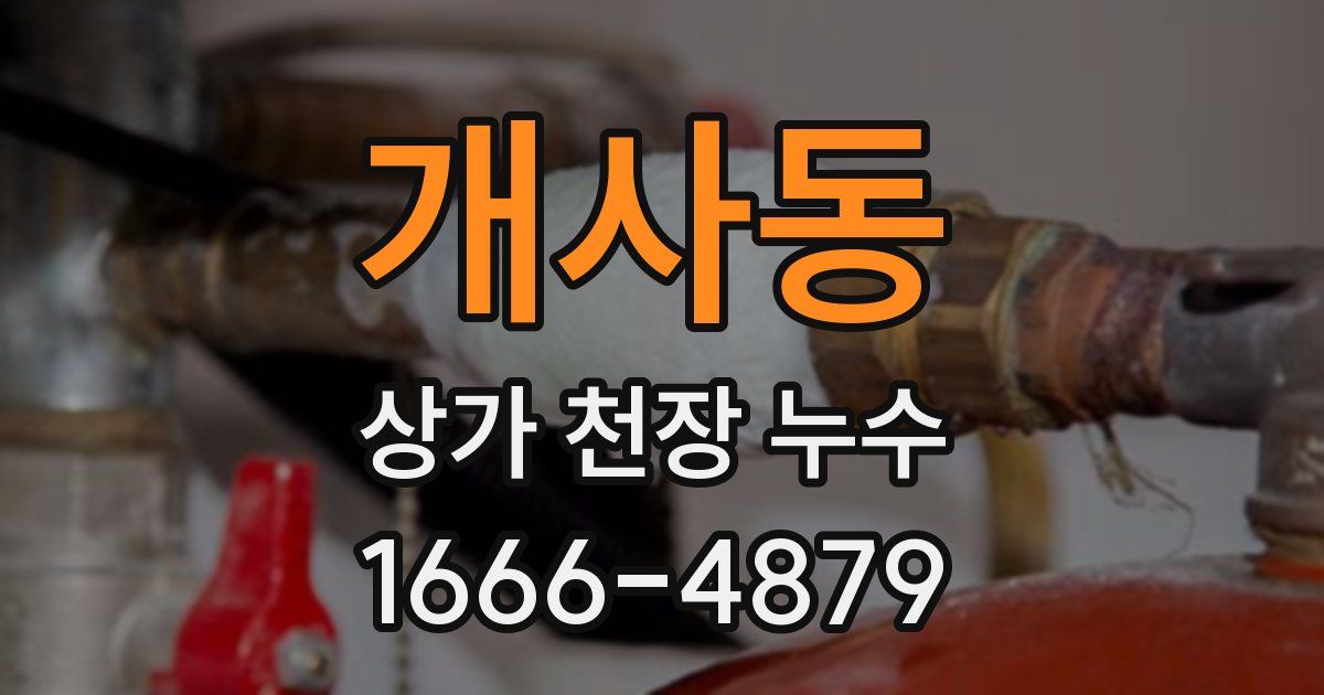 개사동 상가 천장 누수
