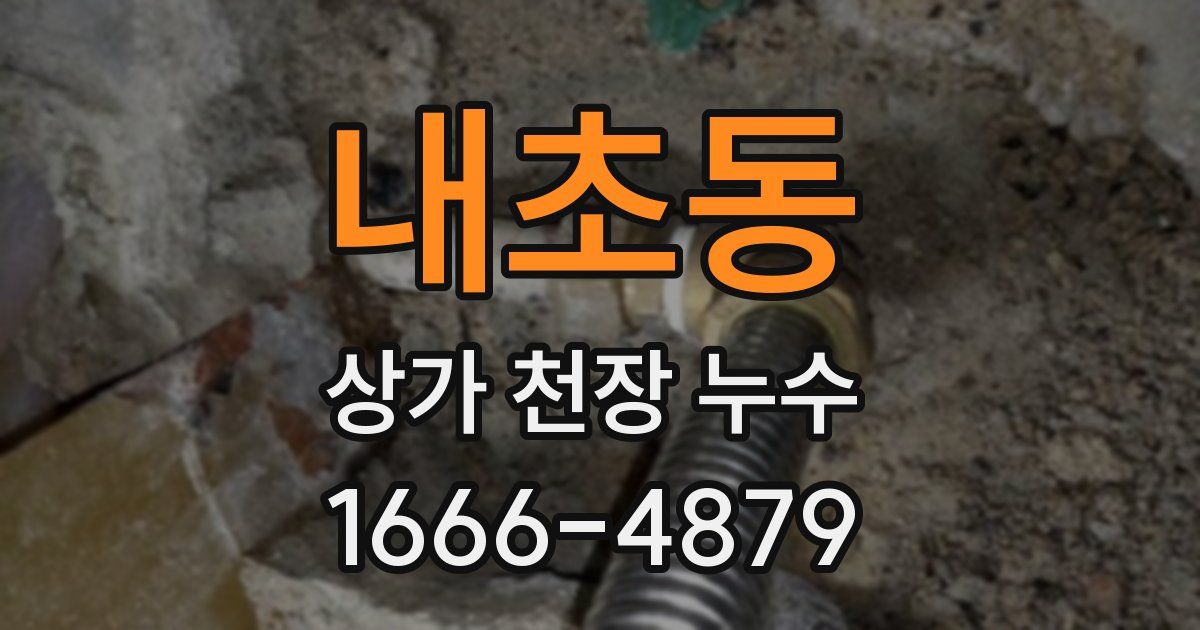 내초동 상가 천장 누수