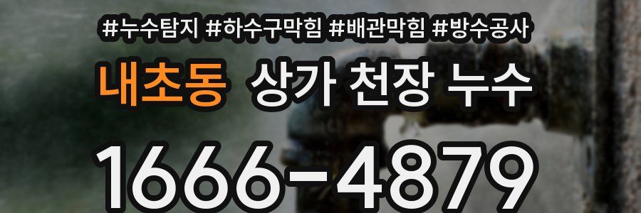 내초동 상가 천장 누수