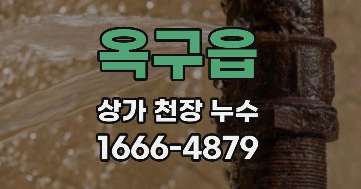 옥구읍 상가 천장 누수