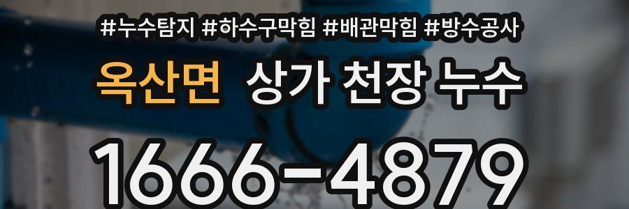 옥산면 상가 천장 누수