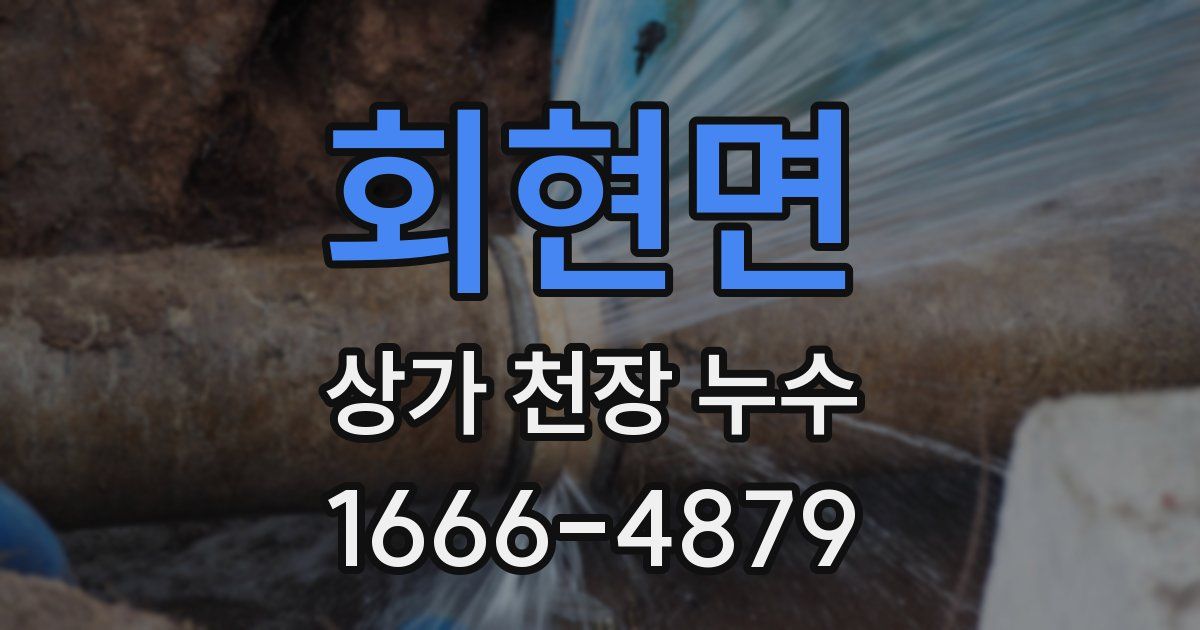 회현면 상가 천장 누수