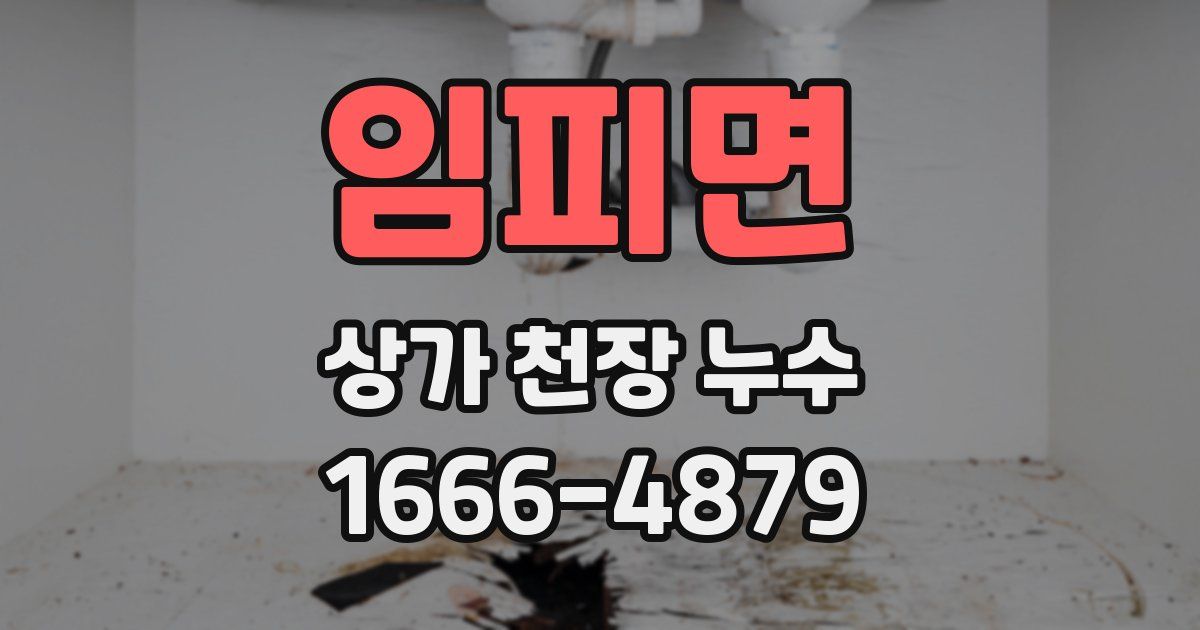 임피면 상가 천장 누수