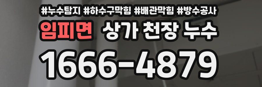 임피면 상가 천장 누수