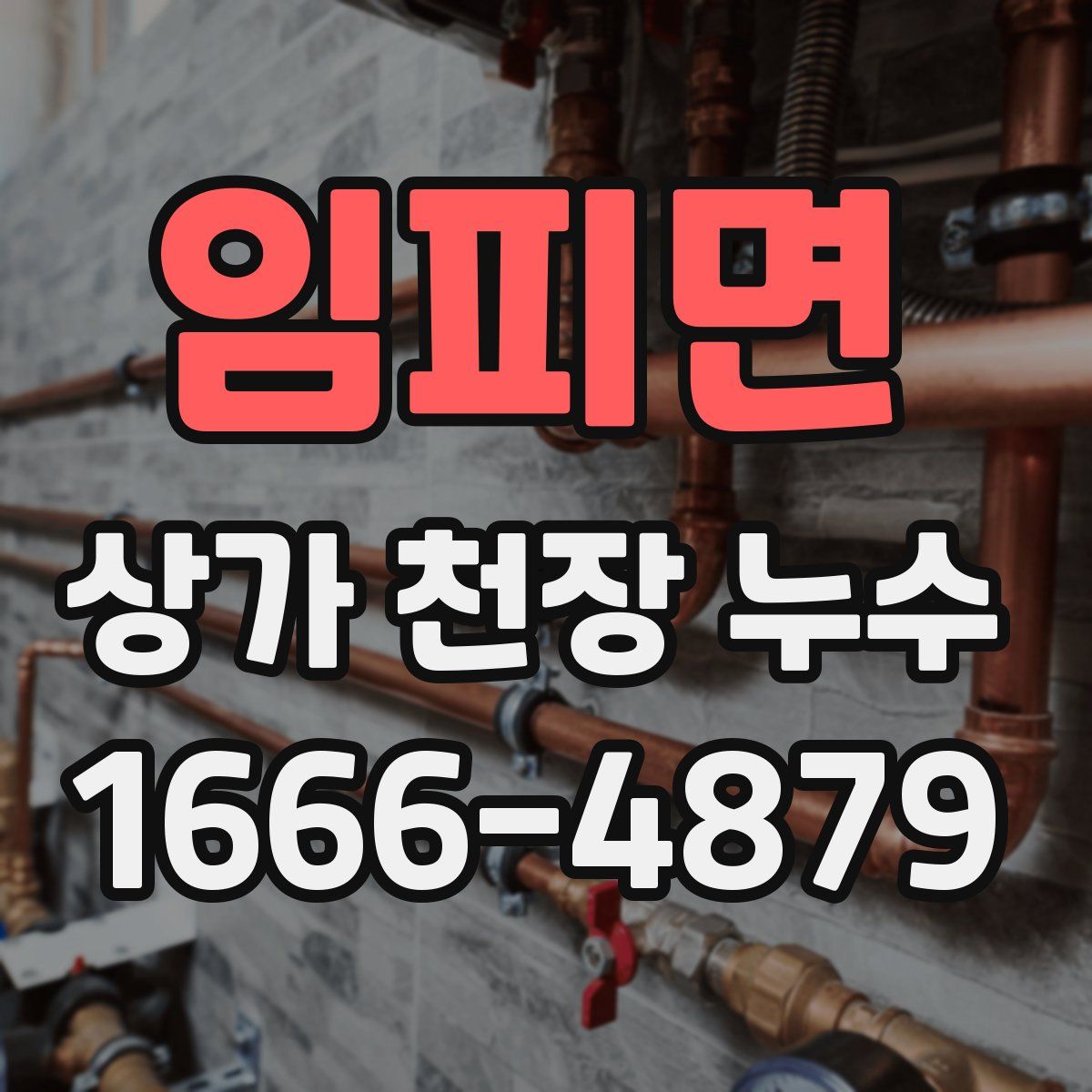 임피면 상가 천장 누수