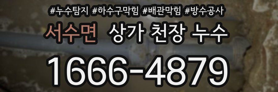 서수면 상가 천장 누수