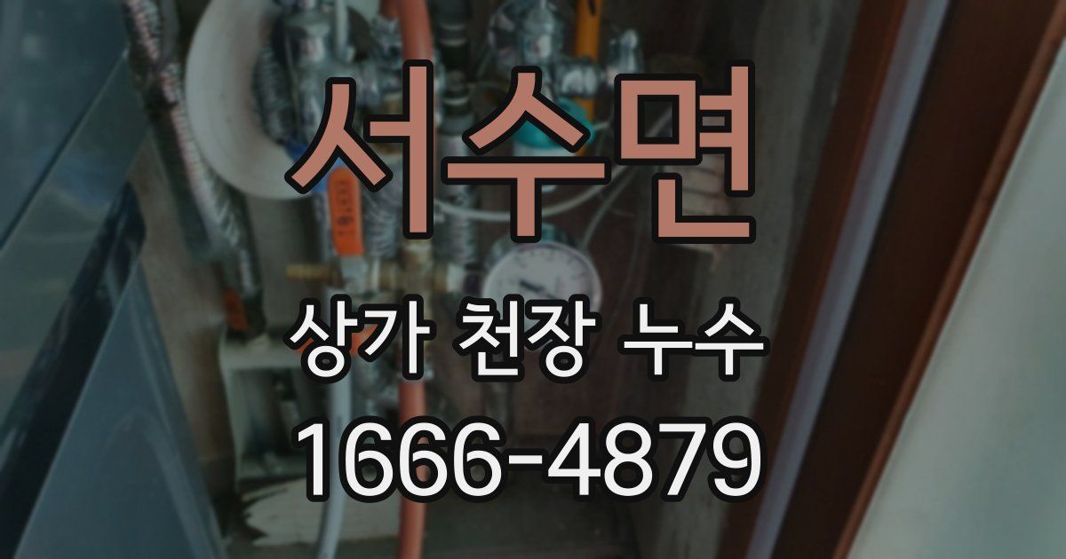 서수면 상가 천장 누수
