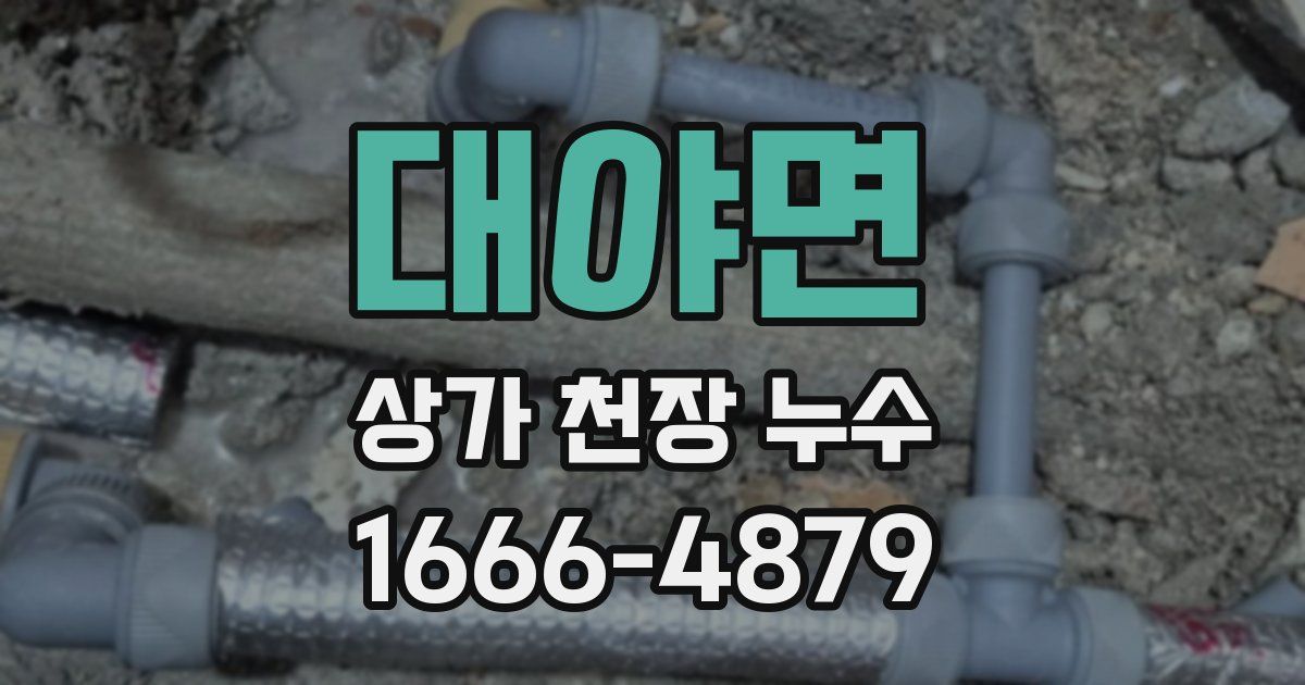 대야면 상가 천장 누수
