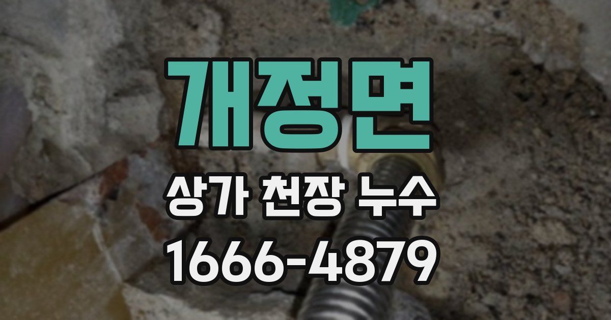 개정면 상가 천장 누수
