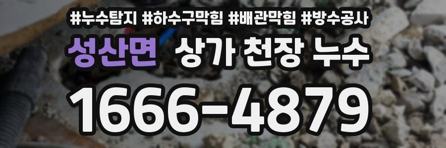 성산면 상가 천장 누수