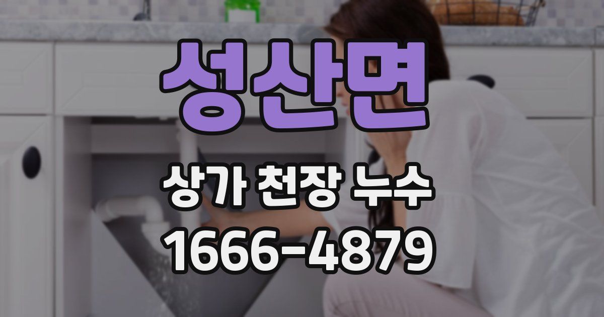 성산면 상가 천장 누수