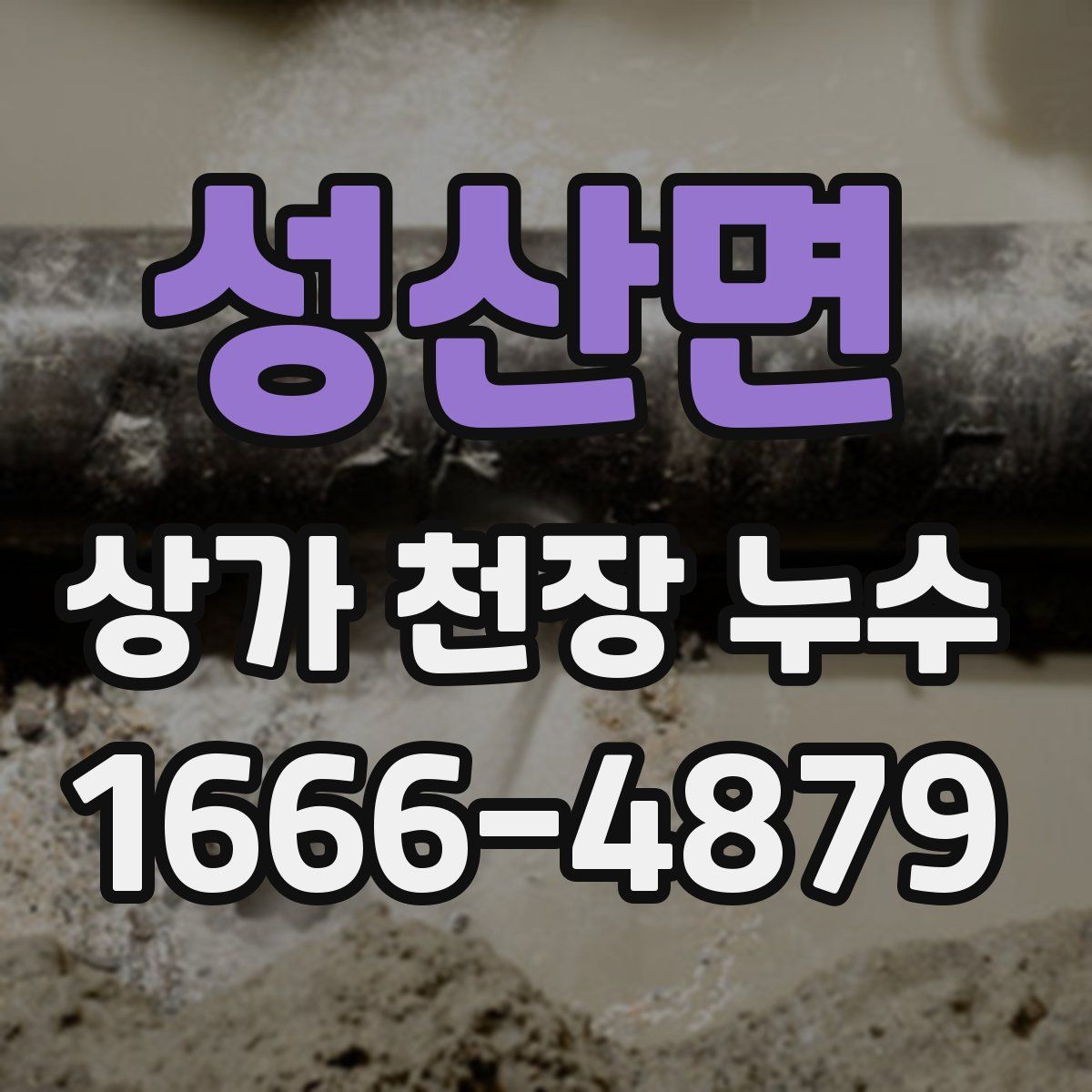 성산면 상가 천장 누수