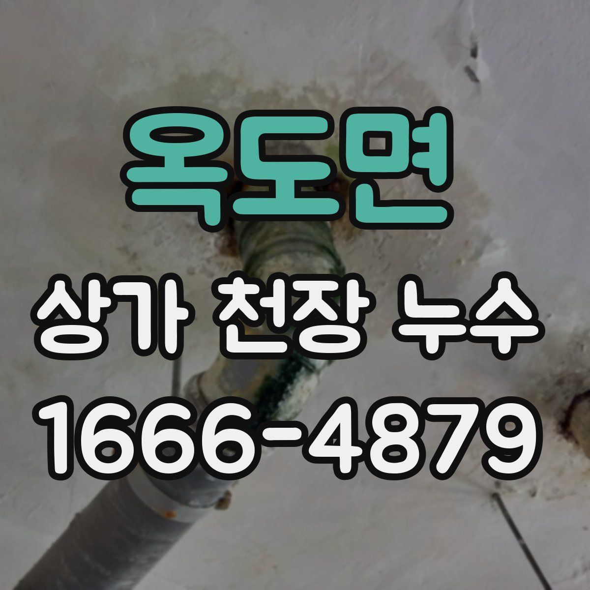 옥도면 상가 천장 누수