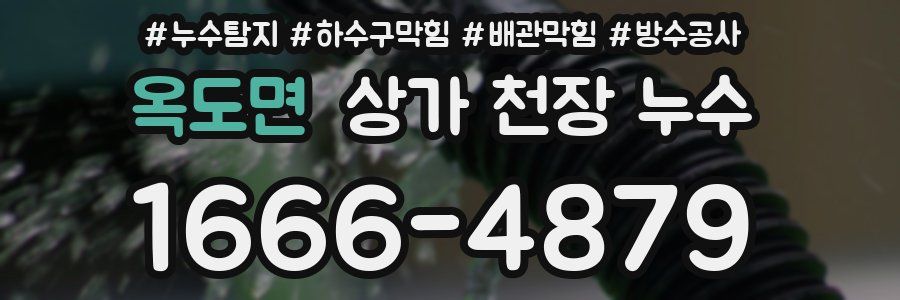 옥도면 상가 천장 누수