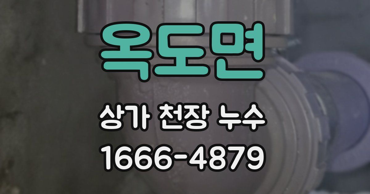 옥도면 상가 천장 누수