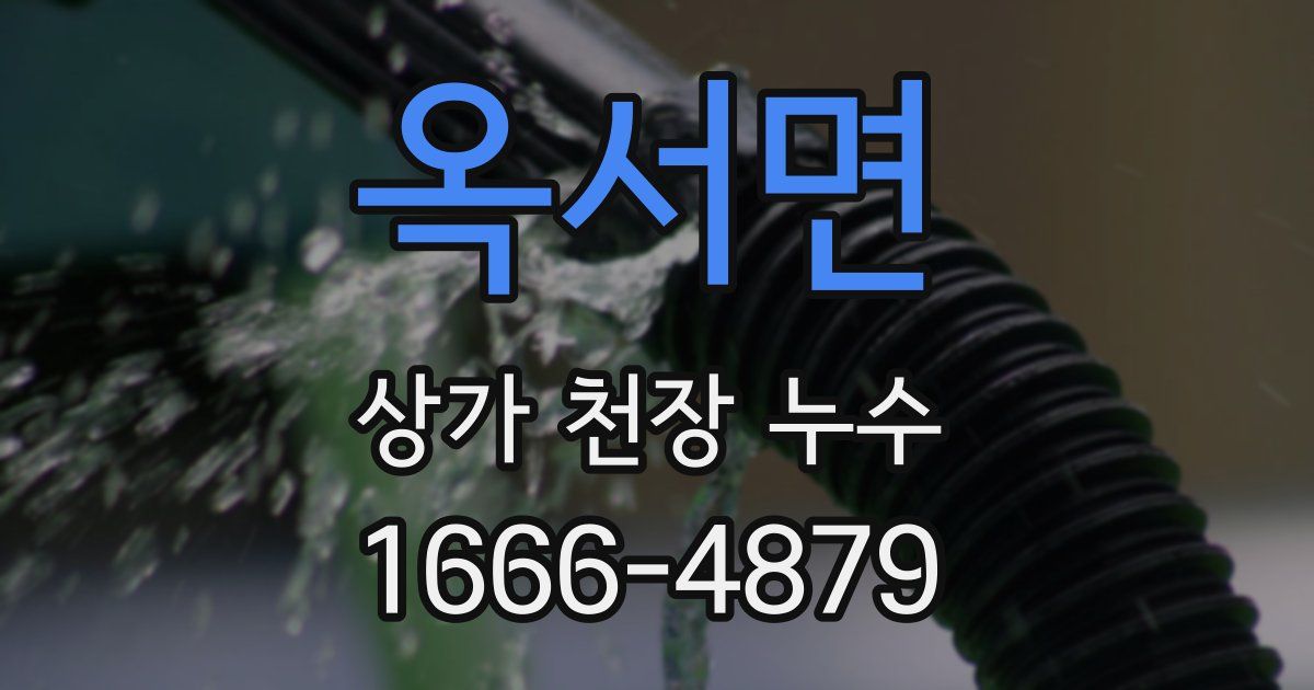 옥서면 상가 천장 누수