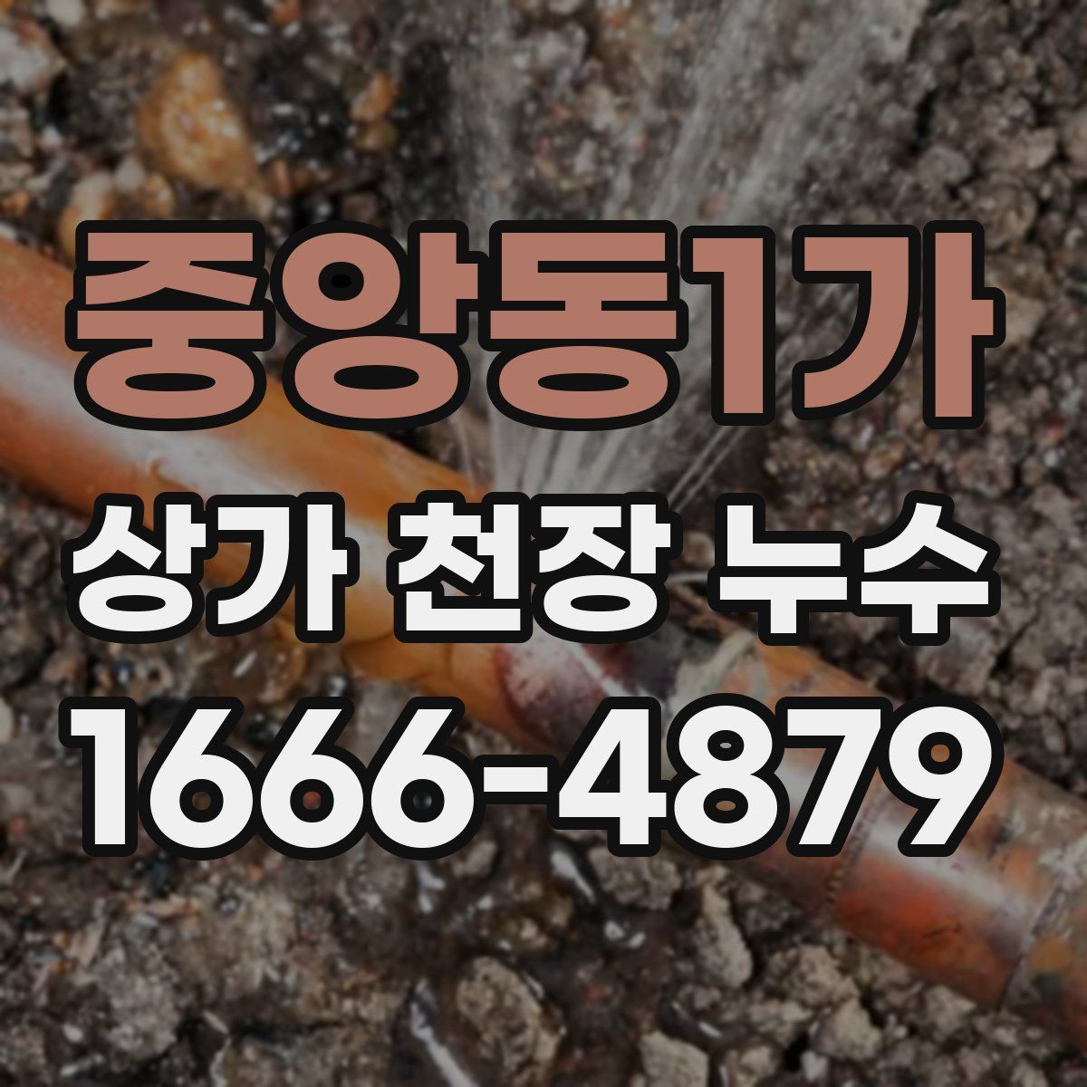 중앙동1가 상가 천장 누수