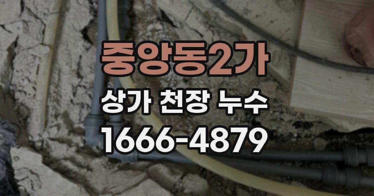 중앙동2가 상가 천장 누수