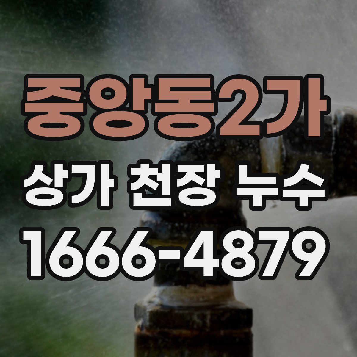 중앙동2가 상가 천장 누수