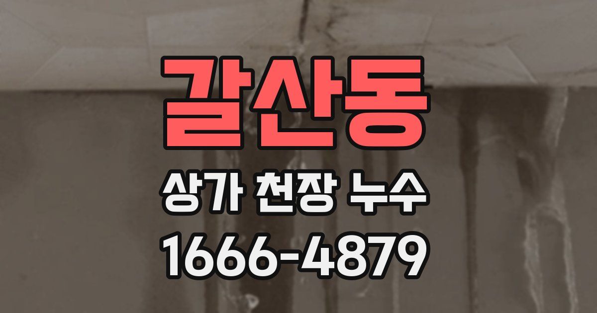 갈산동 상가 천장 누수