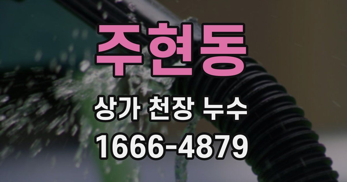 주현동 상가 천장 누수