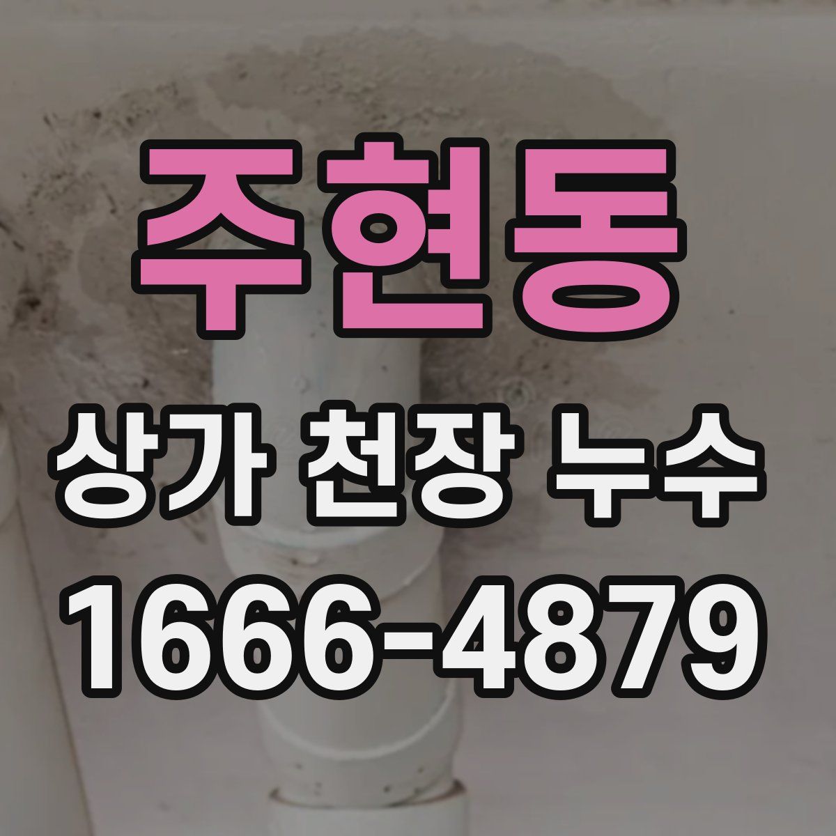 주현동 상가 천장 누수