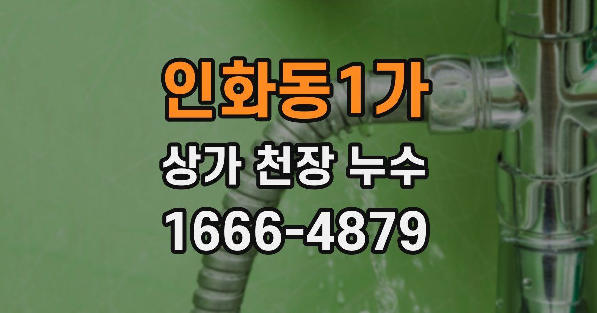 인화동1가 상가 천장 누수