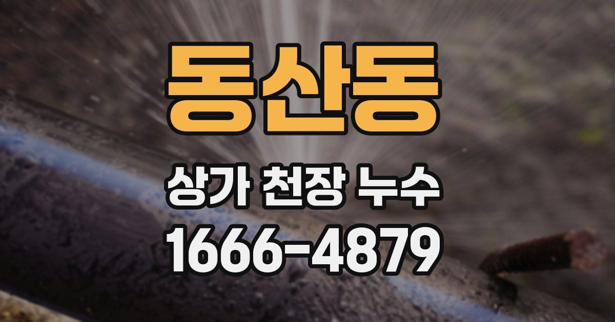 동산동 상가 천장 누수