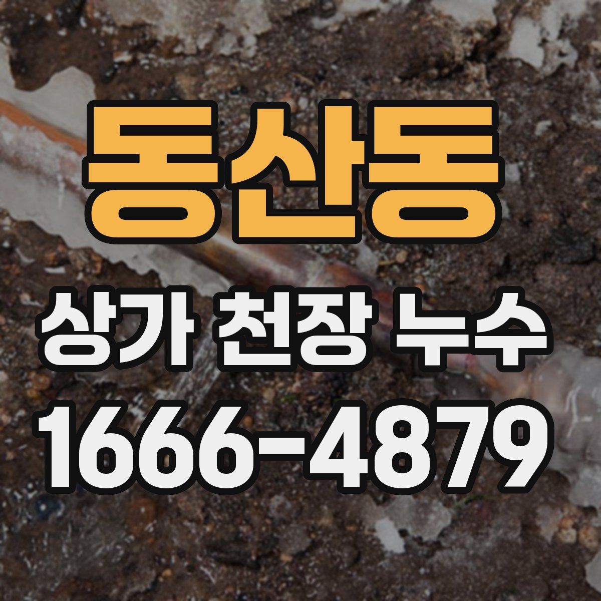 동산동 상가 천장 누수