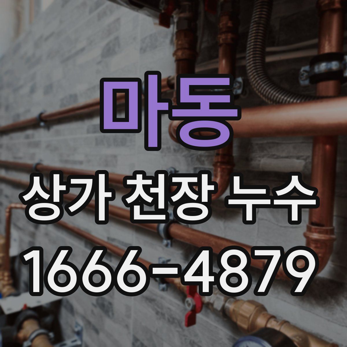 마동 상가 천장 누수