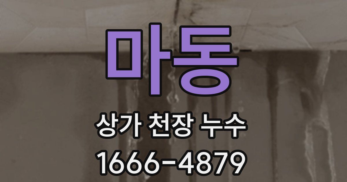 마동 상가 천장 누수