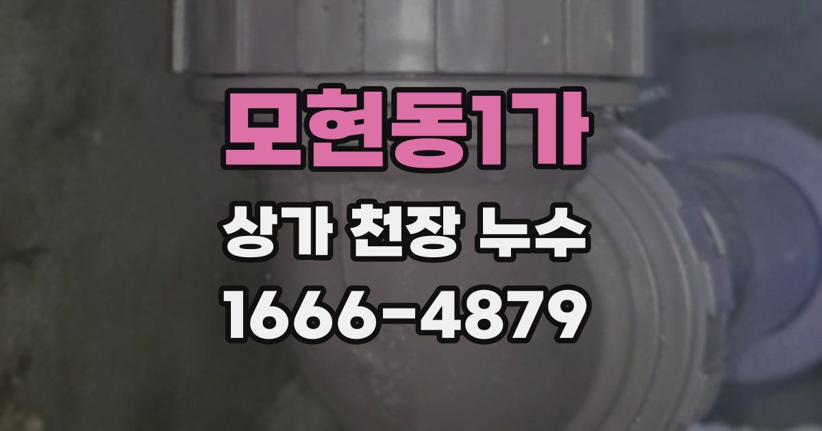 모현동1가 상가 천장 누수