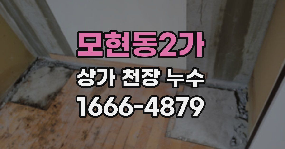모현동2가 상가 천장 누수