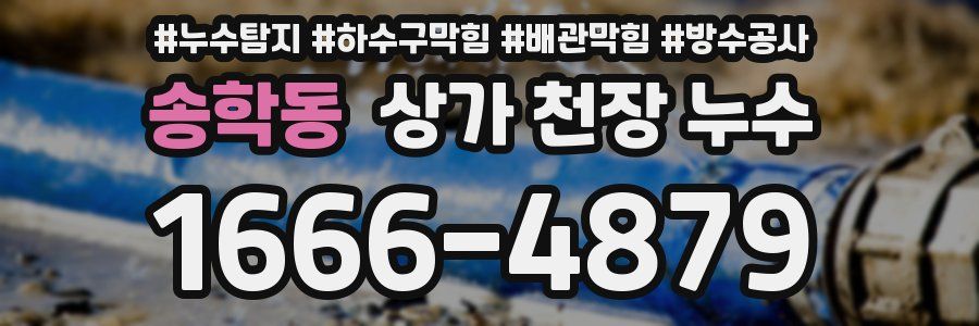 송학동 상가 천장 누수