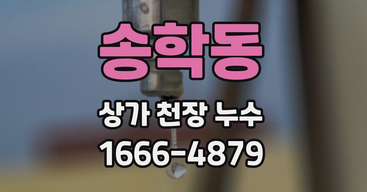 송학동 상가 천장 누수