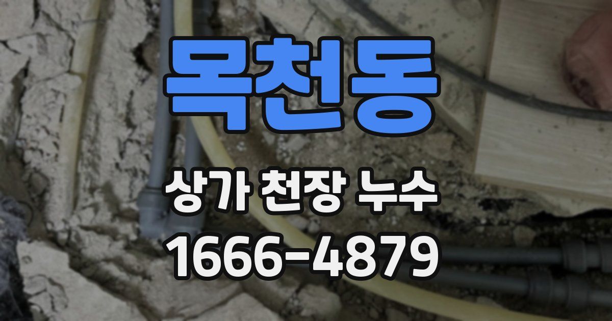 목천동 상가 천장 누수