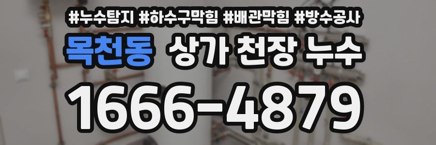 목천동 상가 천장 누수