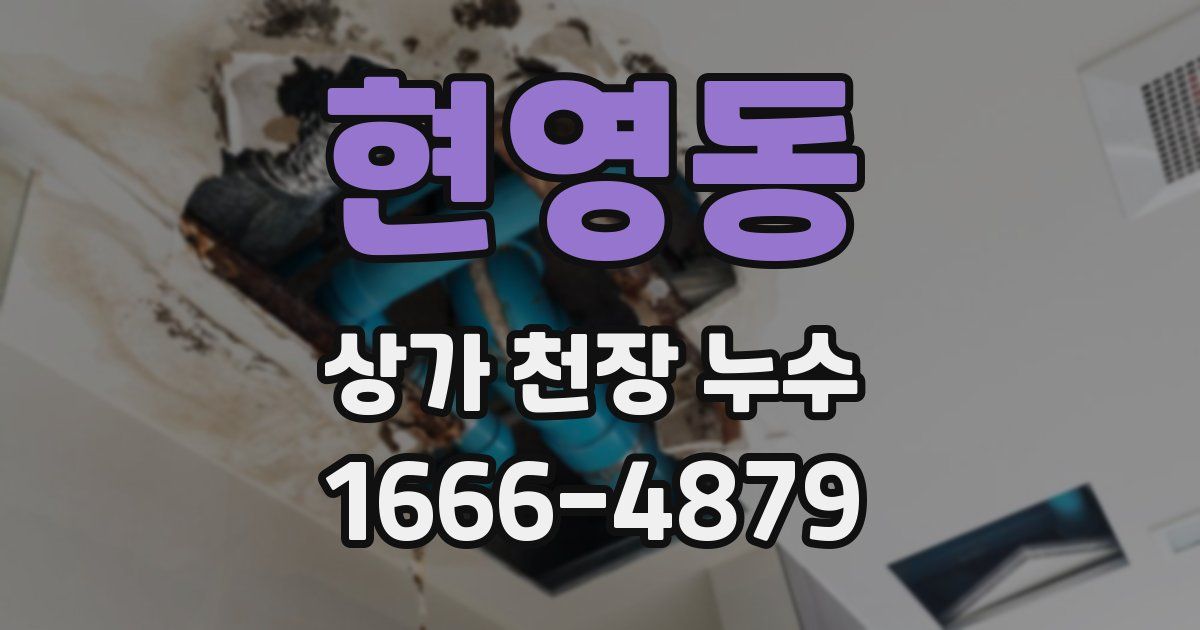 현영동 상가 천장 누수