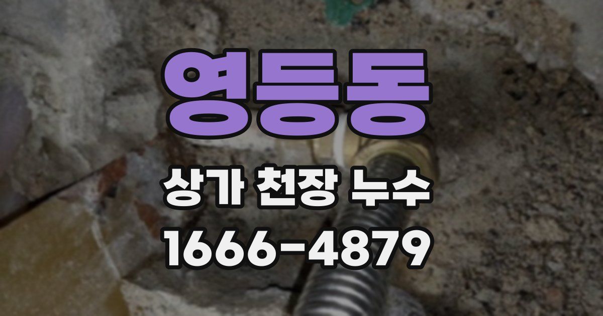 영등동 상가 천장 누수