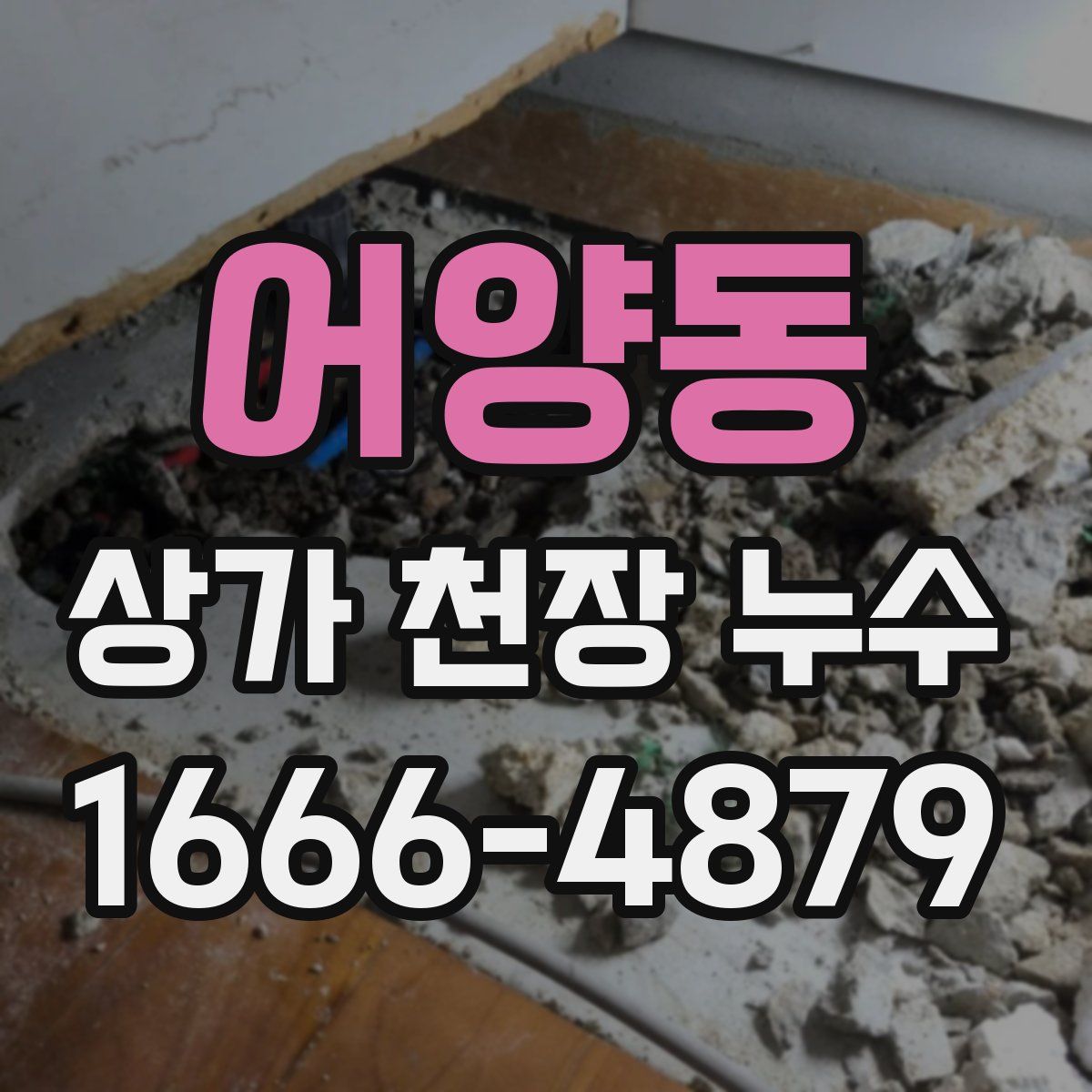 어양동 상가 천장 누수