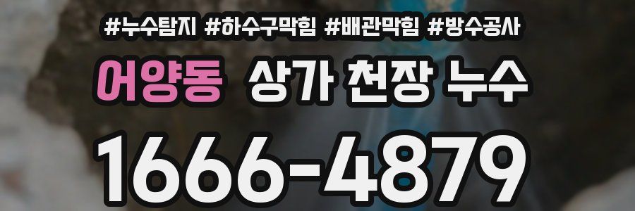 어양동 상가 천장 누수