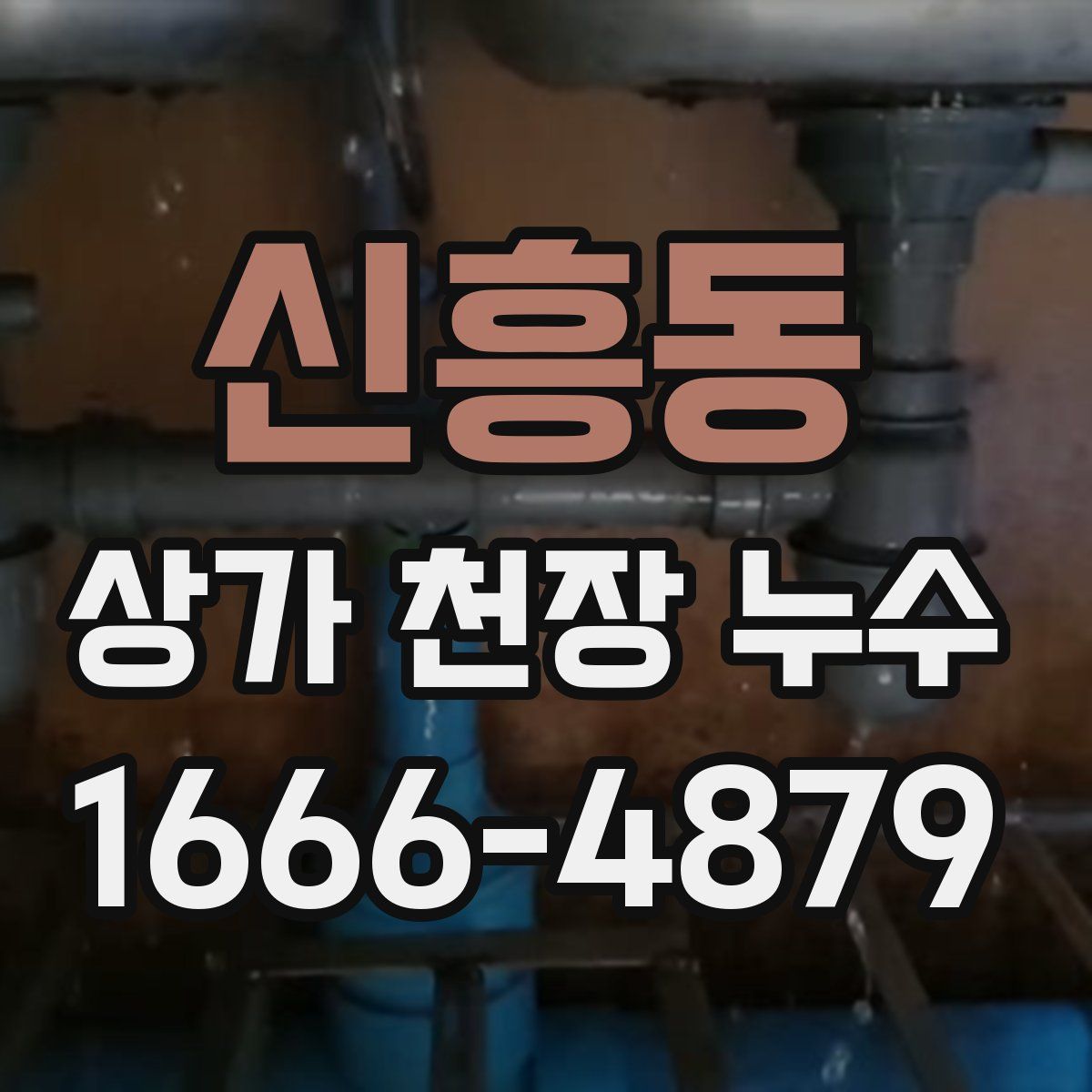 신흥동 상가 천장 누수