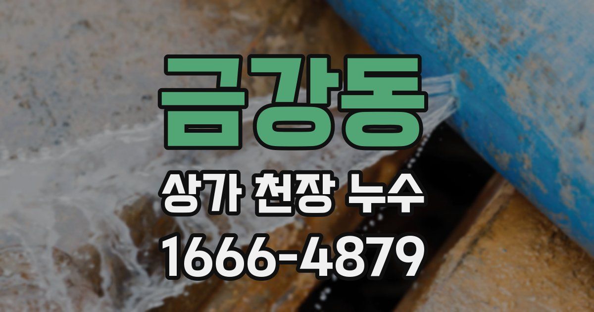 금강동 상가 천장 누수