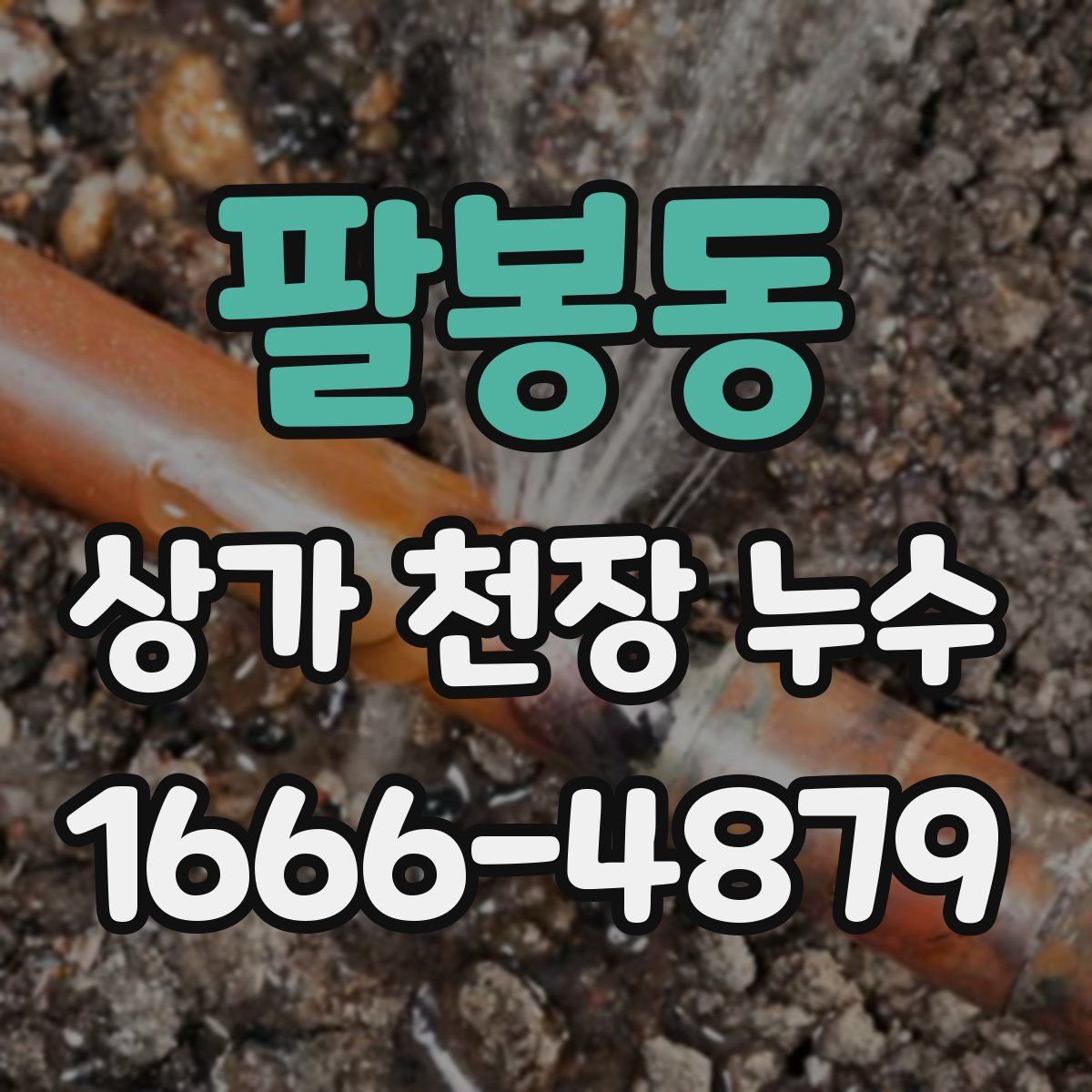 팔봉동 상가 천장 누수