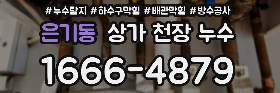 은기동 상가 천장 누수