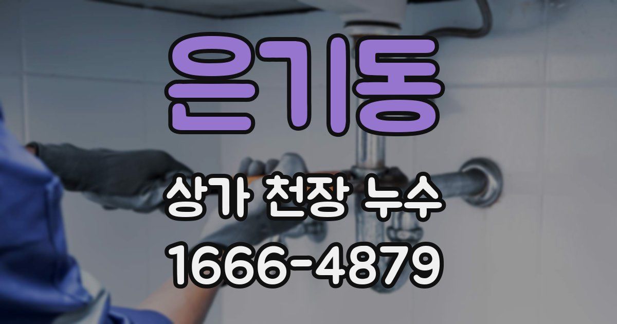 은기동 상가 천장 누수