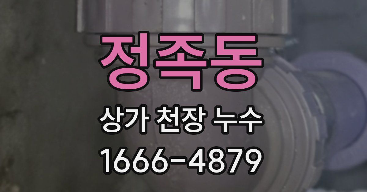 정족동 상가 천장 누수