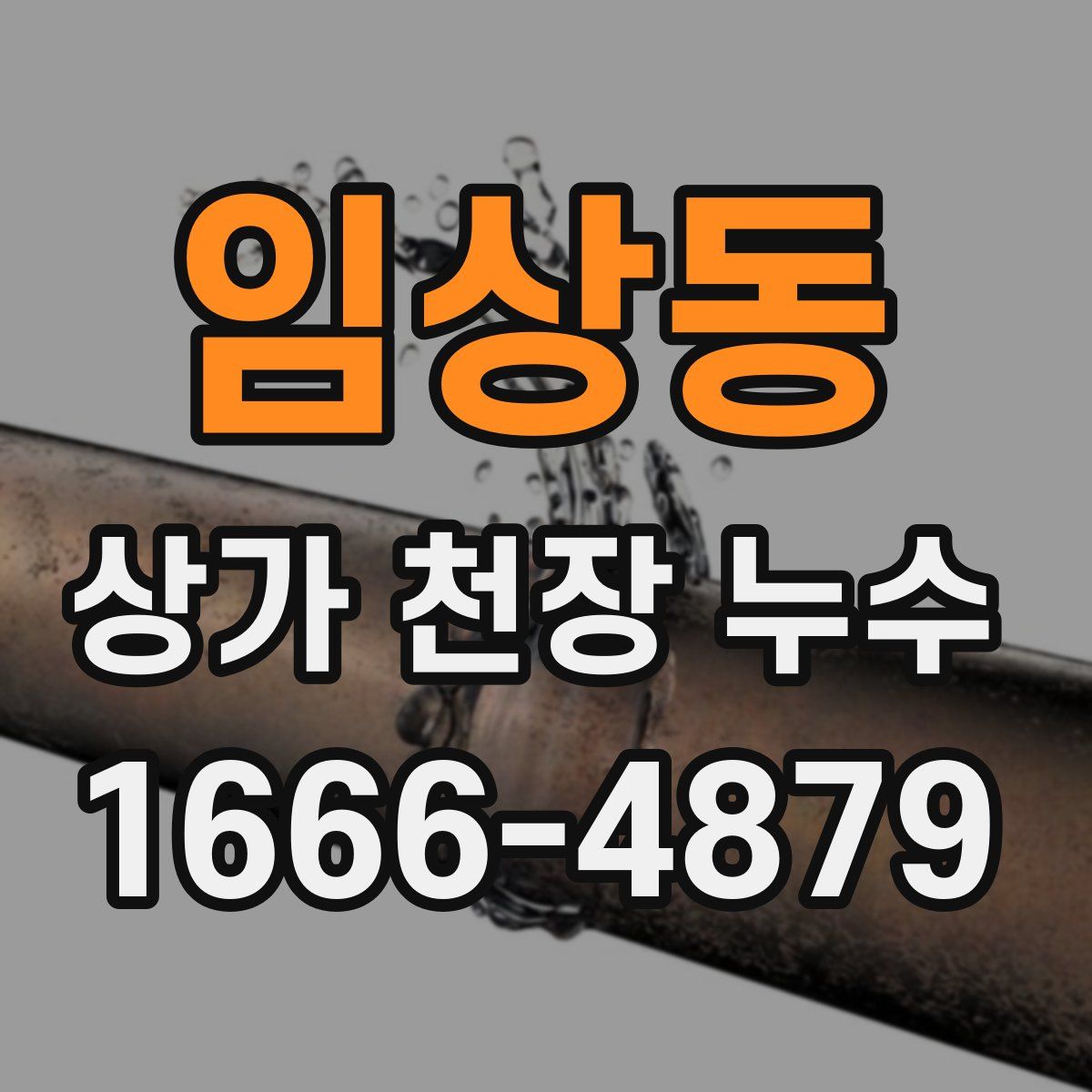임상동 상가 천장 누수