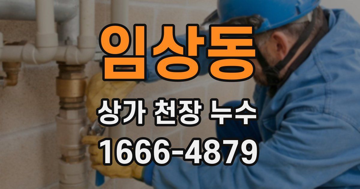임상동 상가 천장 누수